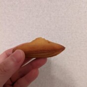 マドレーヌプレーン